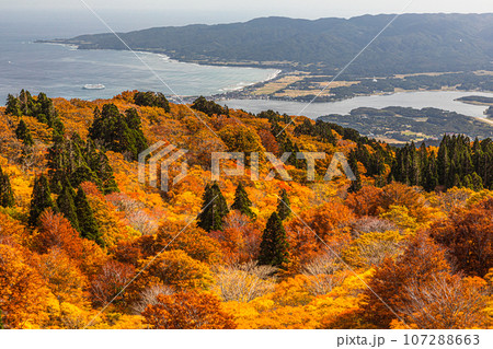 【新潟県・佐渡・紅葉】紅葉を見ながら佐渡島を一望しよう 10月 【新潟県・佐渡・紅葉】紅葉を見ながら佐渡島を一望しよう 10月 107288663