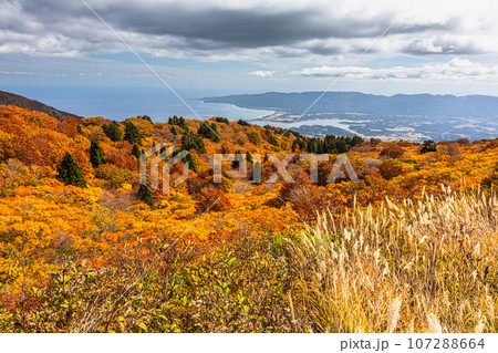【新潟県･佐渡･紅葉】紅葉を見ながら佐渡島を一望しよう 10月 107288664