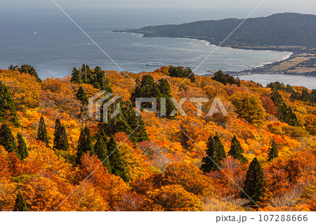 【新潟県･佐渡･紅葉】紅葉を見ながら佐渡島を一望しよう 10月 107288666