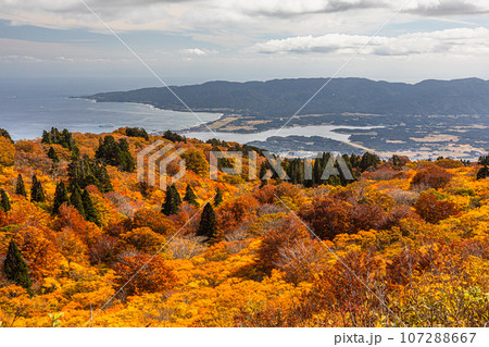 【新潟県・佐渡・紅葉】紅葉を見ながら佐渡島を一望しよう 10月 【新潟県・佐渡・紅葉】紅葉を見ながら佐渡島を一望しよう 10月 107288667