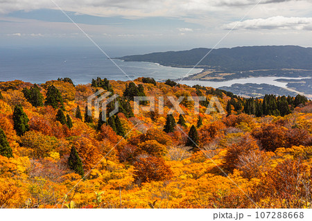 【新潟県･佐渡･紅葉】紅葉を見ながら佐渡島を一望しよう 10月 107288668