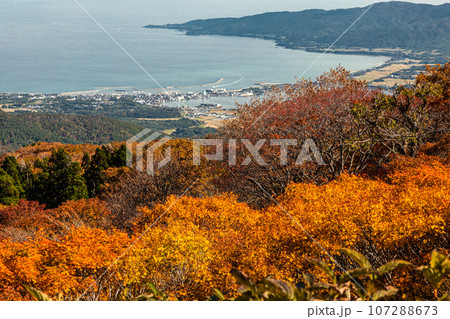 【新潟県・佐渡・紅葉】紅葉を見ながら佐渡島を一望しよう 10月 【新潟県・佐渡・紅葉】紅葉を見ながら佐渡島を一望しよう 10月 107288673