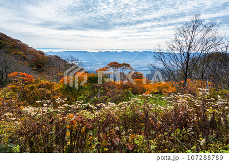 【新潟県・佐渡・紅葉】紅葉を見ながら佐渡を一望しよう 10月 【新潟県・佐渡・紅葉】紅葉を見ながら佐渡を一望しよう 10月 107288789