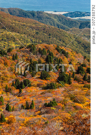 【新潟県･佐渡･紅葉】紅葉を見ながら佐渡を一望しよう 10月 107288792