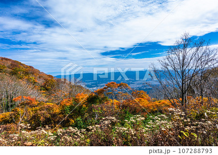 【新潟県・佐渡・紅葉】紅葉を見ながら佐渡を一望しよう 10月 【新潟県・佐渡・紅葉】紅葉を見ながら佐渡を一望しよう 10月 107288793