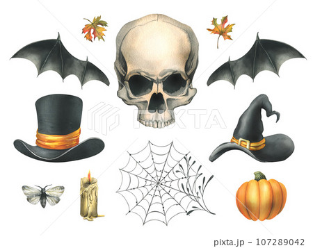 Human skull with bat wings, pumpkin, candle, moth, witch and top hat, cobweb and autumn maple leaves. Hand drawn watercolor illustration for Halloween. Set of isolated elements on a white background Human skull with bat wings, pumpkin, candle, moth, witch and top hat, cobweb and autumn maple leaves. Hand drawn watercolor illustration for Halloween. Set of isolated elements on a white background 107289042