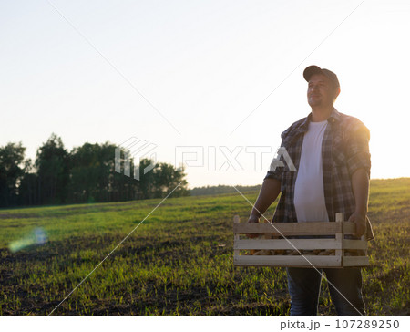 A worker at sunset carries a wooden box with potatoes along the road along the field. A man works in the field and harvests potatoes in boxes and takes them to the car. 107289250