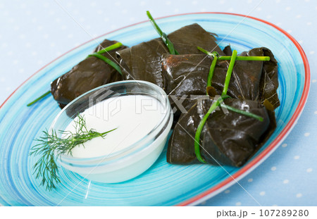 Sarma (stuffed grape leaves) 107289280
