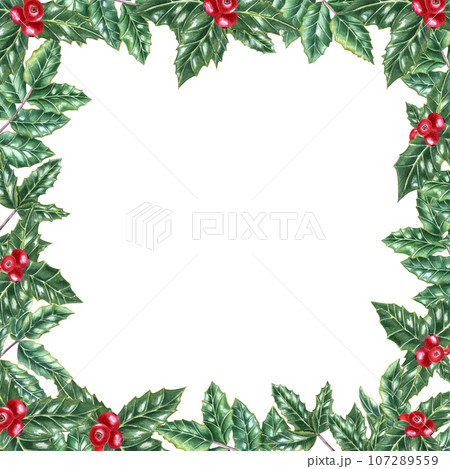 Frame of Green ilex leaves with bunch of red berries. Holly leaves, evergreen shrub. Winter natural decoration. Watercolor illustration for Christmas, New Year cards 107289559
