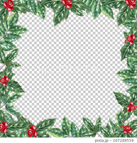 Frame of Green ilex leaves with bunch of red berries. Holly leaves, evergreen shrub. Winter natural decoration. Watercolor illustration for Christmas, New Year cards Frame of Green ilex leaves with bunch of red berries. Holly leaves, evergreen shrub. Winter natural decoration. Watercolor illustration for Christmas, New Year cards 107289559