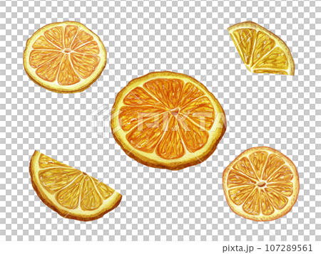Set of Orange slices, cutting path. Dried orange slice for decoration. Fruit piece, citrus, mandarin, ripe. Watercolor illustration for packaging design of cosmetics and food. Set of Orange slices, cutting path. Dried orange slice for decoration. Fruit piece, citrus, mandarin, ripe. Watercolor illustration for packaging design of cosmetics and food. 107289561