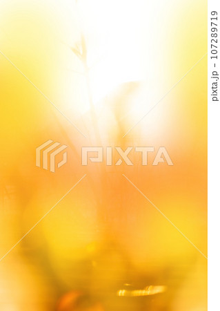Colorful autumn sunrise blurred morning. Blurred bokeh background Colorful autumn sunrise blurred morning. Blurred bokeh background 107289719