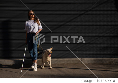 Blind woman walking guide dog outdoors. Blind woman walking guide dog outdoors. 107289918