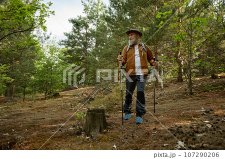Active fit elderly man having walk using nordic poles outdoors 107290206