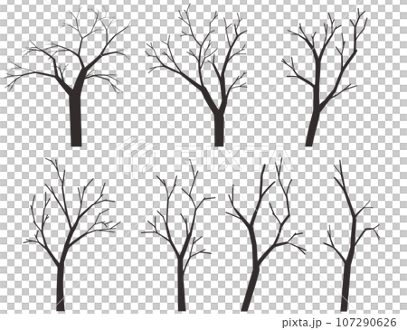 各種落葉的樹木 107290626