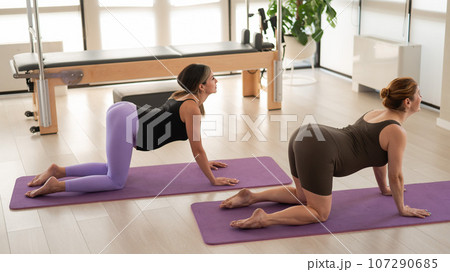 Two pregnant women are doing yoga. Pose cat cow.  107290685