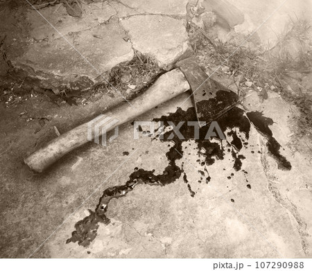 Irone axe lies on the ground Irone axe lies on the ground 107290988