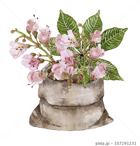 Bouquet of flowers and chestnut leaves in a brown canvas bag. Watercolor illustration. High quality 107291231