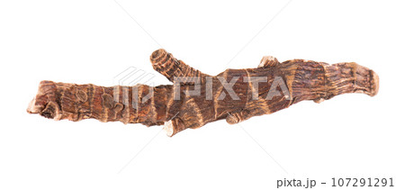 Calamus root isolated on white background. Sweet flag, sway or muskrat root, vasambu. Dry root of Acorus calamus. Top view. 107291291
