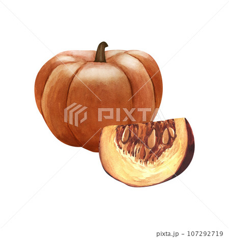 Watercolor realistic whole fresh pumpkin group. Hand-drawn illustration isolated on white background. Perfect for menu cafe, template eco natural food, cooking, packing food, card thanksgiving. 107292719
