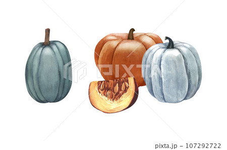 Watercolor realistic whole fresh pumpkin group. Hand-drawn illustration isolated on white background. Perfect for menu cafe, template eco natural food, cooking, packing food, card thanksgiving. 107292722