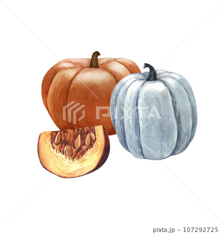 Watercolor realistic whole fresh pumpkin group. Hand-drawn illustration isolated on white background. Perfect for menu cafe, template eco natural food, cooking, packing food, card thanksgiving. Watercolor realistic whole fresh pumpkin group. Hand-drawn illustration isolated on white background. Perfect for menu cafe, template eco natural food, cooking, packing food, card thanksgiving. 107292725