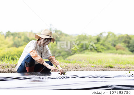 畑仕事をする若い女性 畑仕事をする若い女性 107292786