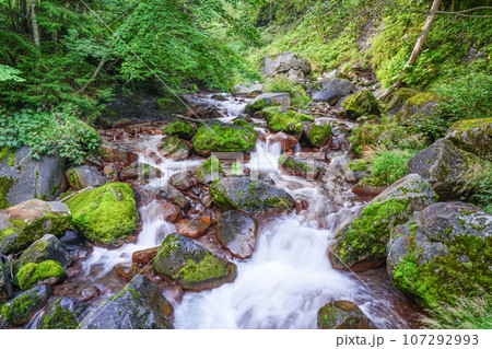 飛騨小阪 巌立峡　椹谷（さわらだに）の清流 107292993