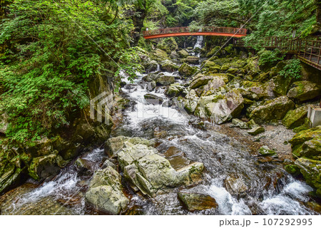 飛騨小阪 巌立峡　椹谷（さわらだに）の清流 107292995