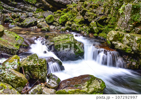 飛騨小阪 巌立峡　椹谷（さわらだに）の清流 107292997