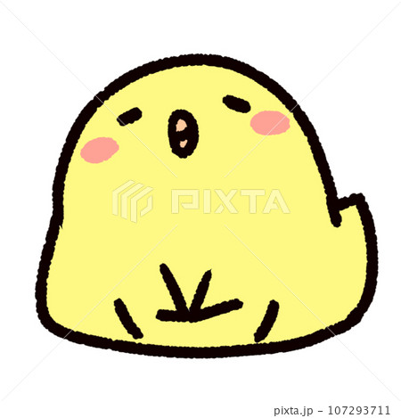 落ち着いてゆっくり座るひよこ 落ち着いてゆっくり座るひよこ 107293711