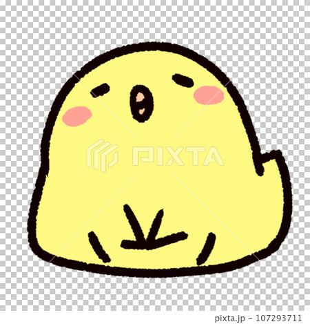 落ち着いてゆっくり座るひよこ 落ち着いてゆっくり座るひよこ 107293711