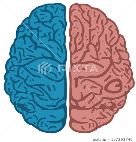 脳みそ 脳みそ 107293749