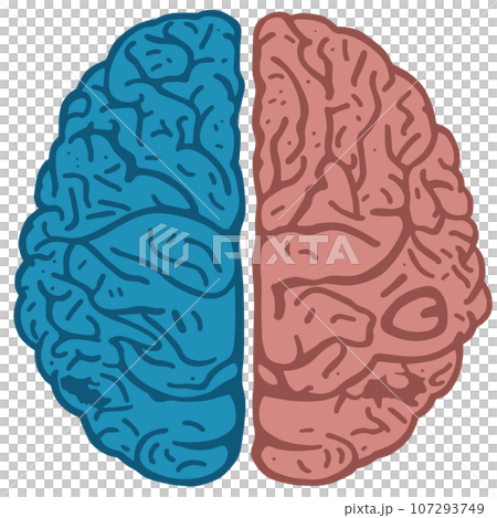 脳みそ 脳みそ 107293749