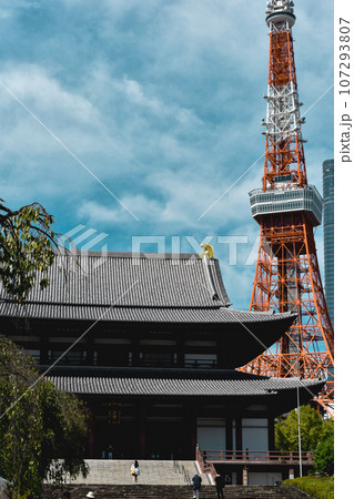 秋の増上寺と東京タワー 107293807