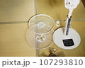 シーズンが終わり扇風機を掃除 107293810