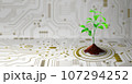 Growing tree on the converging point of computer circuit board. Nature with Digital Convergence and Technological Convergence. Green Computing, Green Technology, Green IT, csr, and IT ethics Concept. 107294252