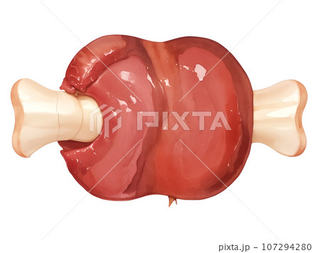 漫画肉「AI生成画像」 漫画肉「AI生成画像」 107294280