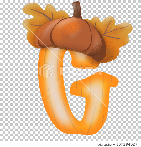 Letters A-Z with oak tree seeds in autumn season Letters A-Z with oak tree seeds in autumn season 107294627
