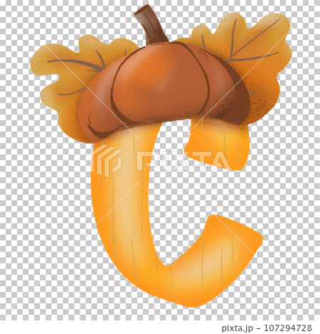 Letters A-Z with oak tree seeds in autumn season 107294728