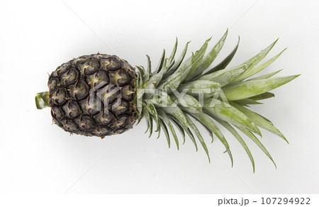 Vegetarian and vegan healthy lifestyle concept. Raw vegetables and fruits with empty plate over rustic background Vegetarian and vegan healthy lifestyle concept. Raw vegetables and fruits with empty plate over rustic background 107294922