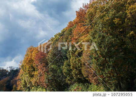 紅葉した山 紅葉した山 107295055
