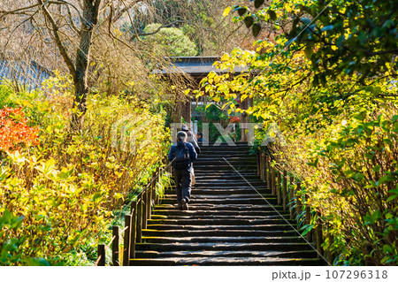 秋の鎌倉　明月院 107296318