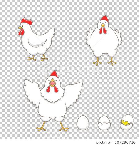 Cute chicken and egg set Cute chicken and egg set 107296710