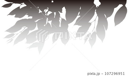 桜の葉　モノクロ 107296951