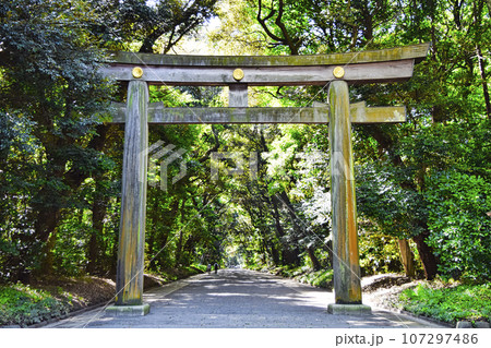 明治神宮　北参道鳥居 107297486