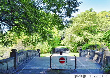 明治神宮 北池太鼓橋 明治神宮 北池太鼓橋 107297487