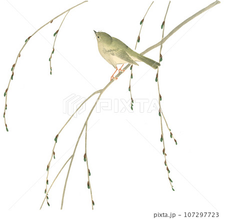 花鳥画　うぐいす 107297723