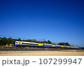 房総　特急　225系 107299947