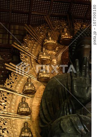 大仏のクローズアップ（東大寺） 107300180